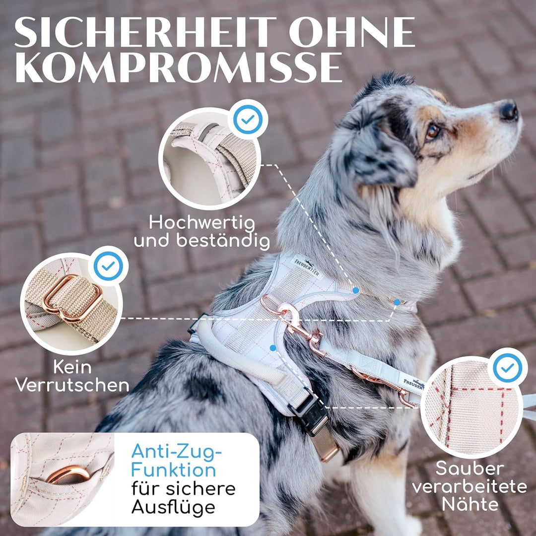 FREUDENTIER® Hundegeschirr mit atmungsaktiver Polsterung - Bombenfester Sitz - Anti Zieh Brustgeschi