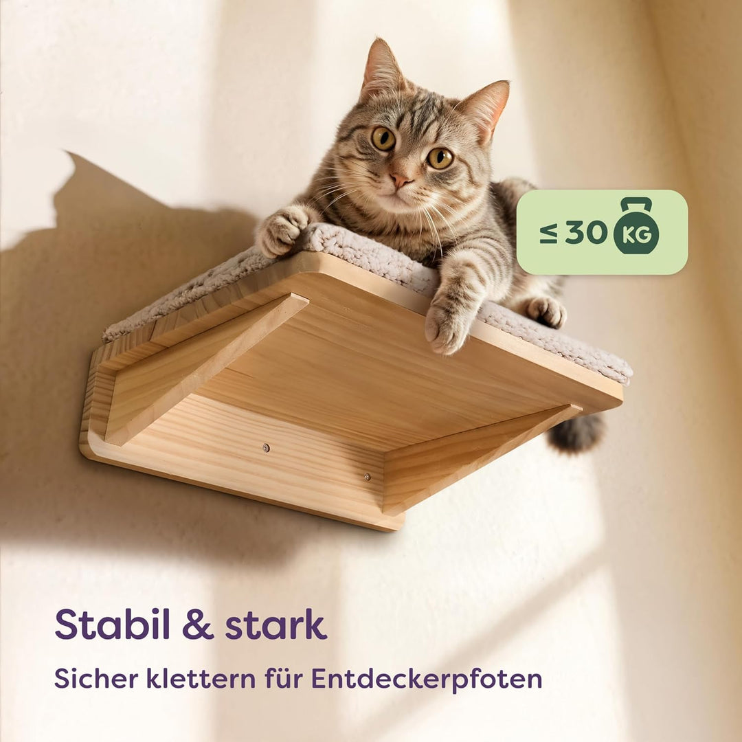 Katzen Kletterwand Set mit Katzenbett & 2X Katzentreppe – Massives FSC® Kiefernholz, Stabile Wandlie