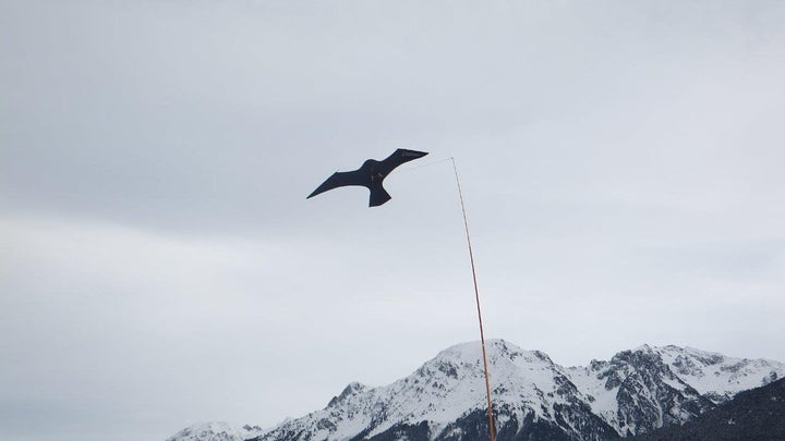 Vogelscheuche PROFESSIONELLE QUALITÄT 9METER