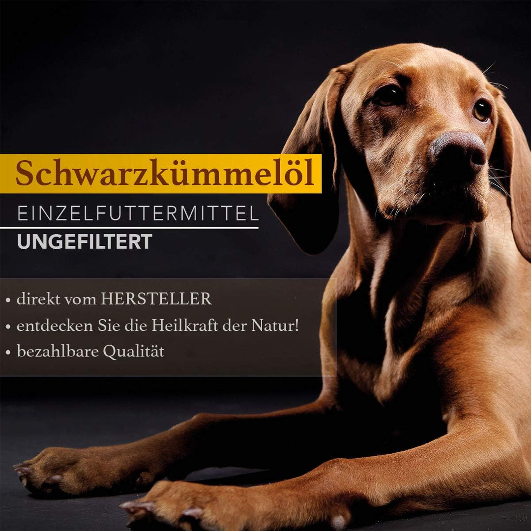 Naturzade Schwarzkümmelöl für Pferde &amp; Hunde, 2 Liter ( 2 x 1 Liter ) Dosierflasche, kaltgepresst mü