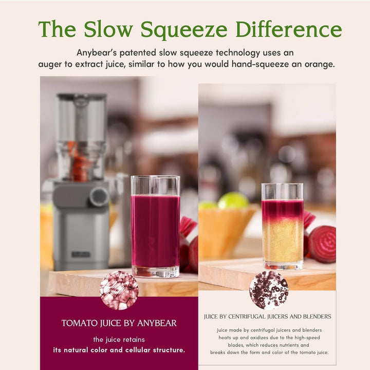 Anybear Entsafter, 200W Slow Juicer Kaltentsafter mit 110 mm grossem Einfüllschacht für ganze Frücht