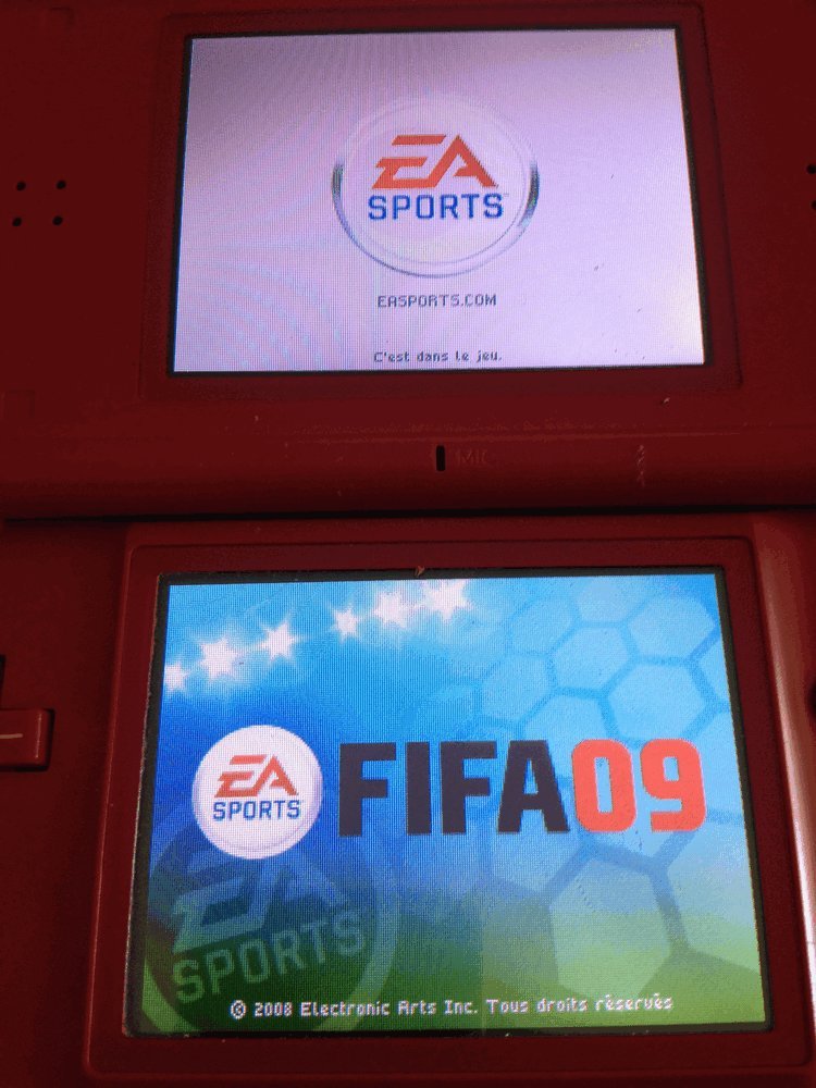 FIFA 09 Nintendo DS Standard, Nintendo DS Standard