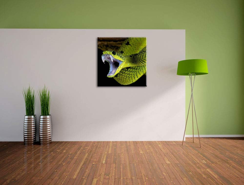Giftige grüne Schlange, Format: 70x70 auf Leinwand, XXL riesige Bilder fertig gerahmt mit Keilrahmen