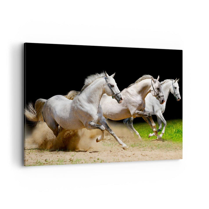 Bilder auf Leinwand 100x70cm Leinwandbild mit Rahmen Pferde Sand Gras Gross Wanddeko Bild Schlafzimm