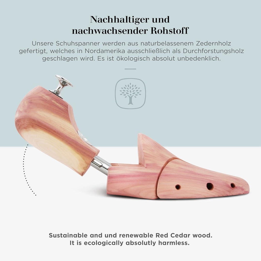 Schlesinger - TESTSIEGER - Premium Herren Schuhspanner aus edlem Zedernholz für eine optimale Schuhp