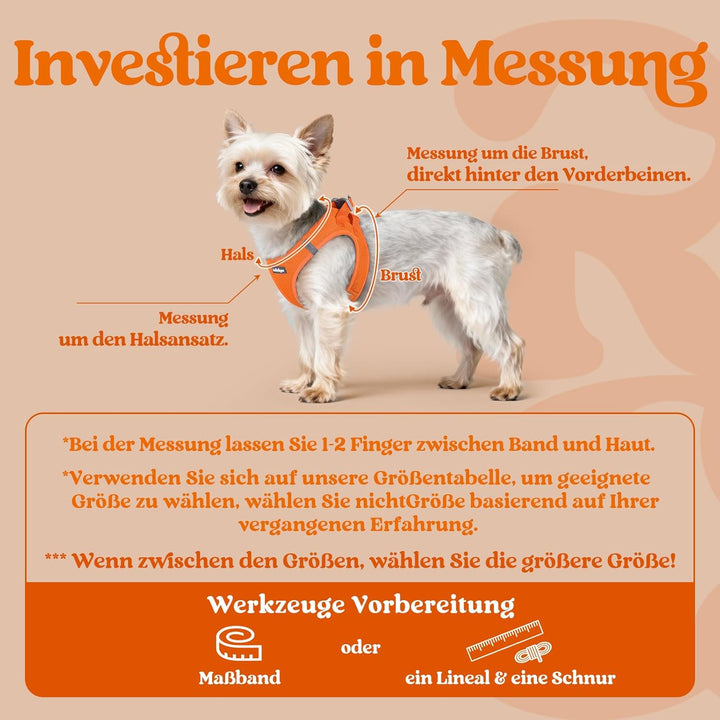 rabbitgoo Hundegeschirr Kleine Hunde, Step-in Welpengeschirr Weich Mesh für Spaziergänge, Atmungsakt