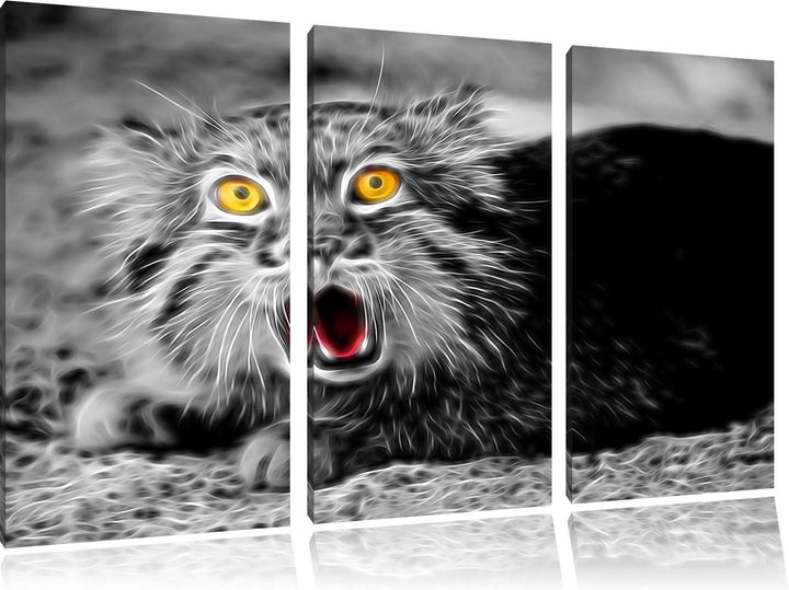 scheue Manul schwarz/weiss Deluxe 3-Teiler Leinwandbild 120x80 Bild auf Leinwand, XXL riesige Bilder