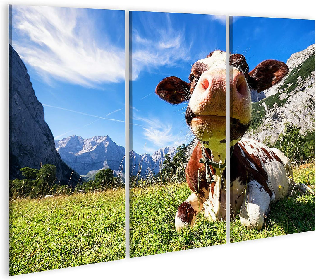 islandburner Bild auf Leinwand Kühe Im Karwendelgebirge In Österreich Bilder Wandbilder Poster Leinw
