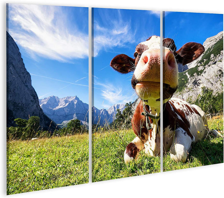islandburner Bild auf Leinwand Kühe Im Karwendelgebirge In Österreich Bilder Wandbilder Poster Leinw