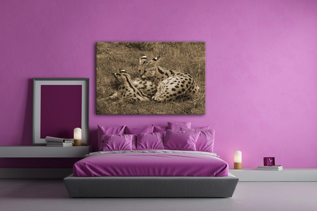 deyoli Zwei kuschelnde Servale Felines Katzen Format: 80x60 Effekt: Sepia als Leinwandbild, Motiv fe