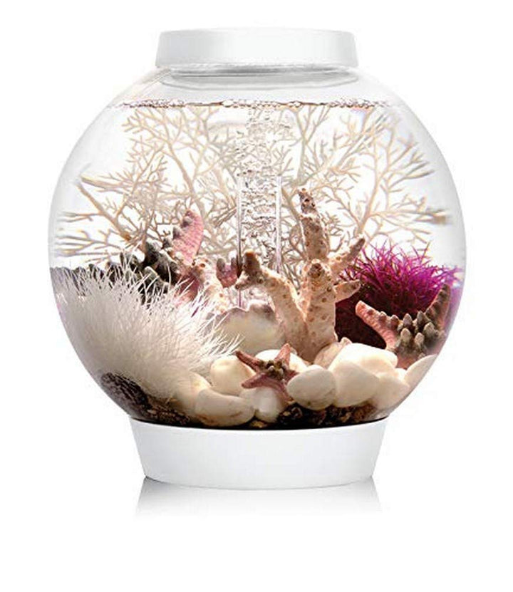 biOrb CLASSIC 15 LED Kugel-Aquarium, 15 Liter - Aquarien Komplett-Set mit LED Beleuchtung (weiss) un