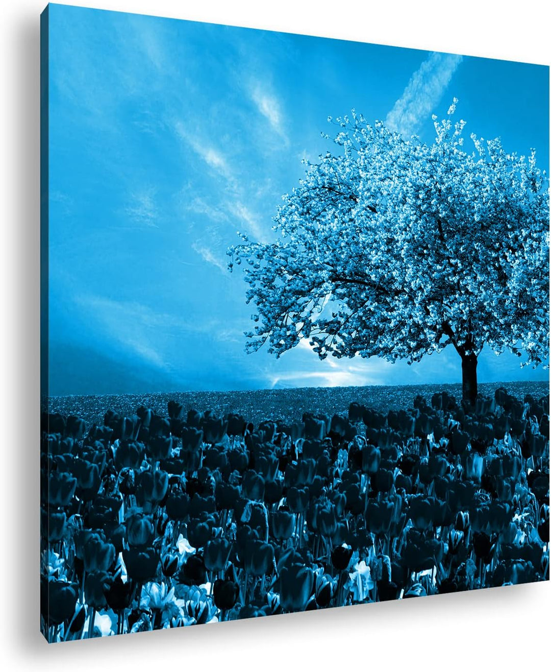 deyoli Kirschbaum im Tulpen Feld Format: 60x60 Effekt: Monocrome Blau als Leinwandbild, Motiv fertig