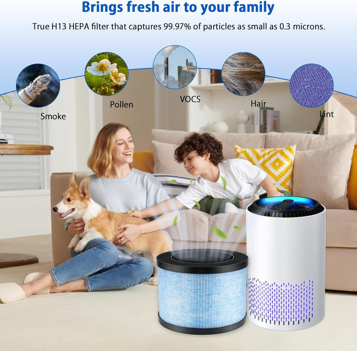iAmoy MK01 HEPA Ersatzfilter Kompatibel mit AROEVE MK01 MK06 Pomoron CONOPU DH-JH01 DH-JH06, ToLife