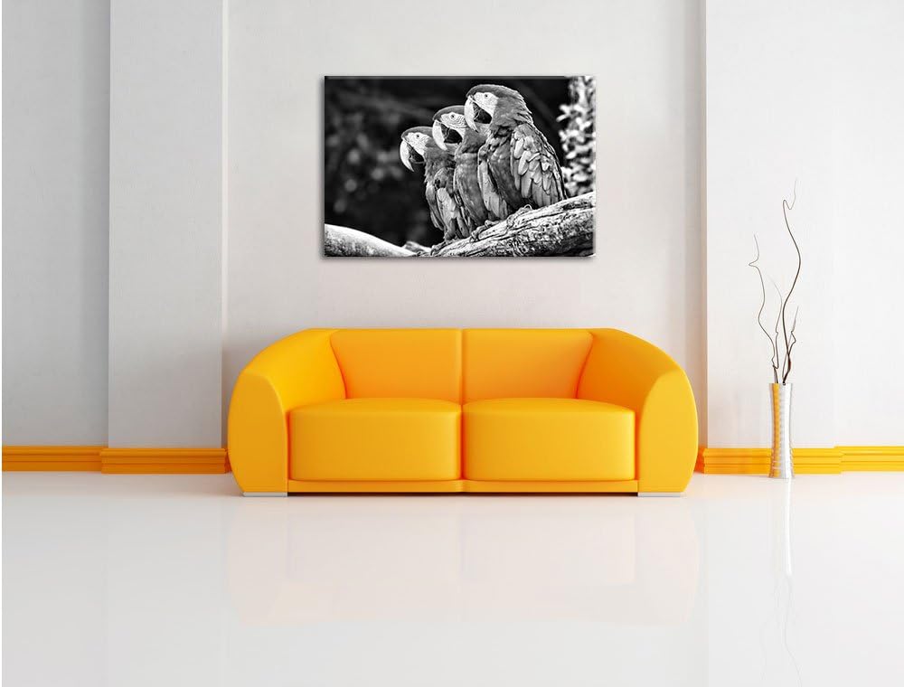 Papageien auf AST als Leinwandbild/Grösse: 100x70 cm/Wandbild/Kunstdruck/fertig bespannt, 100x70