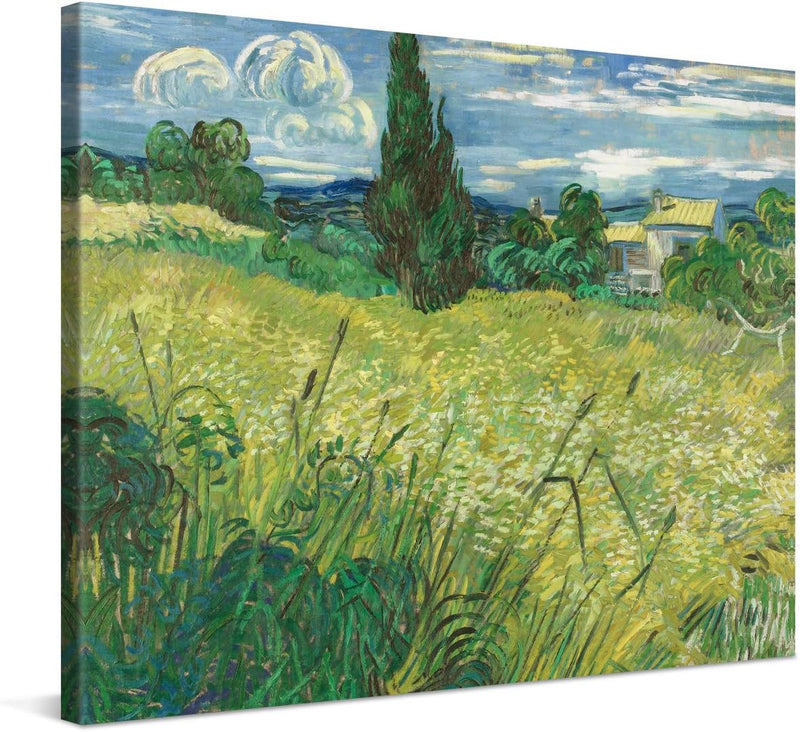 PICANOVA – Vincent Van Gogh Green Field 80x60 cm – Bild auf Leinwand – Leinwandbild – Premium Leinwa