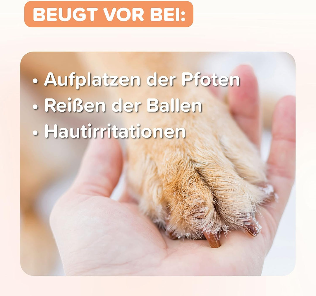 beaphar - Pfoten-Pflege Spray Für Hunde - Schützt Vor EIS, Schnee, Streusalz - Mit Propolis, Glyceri