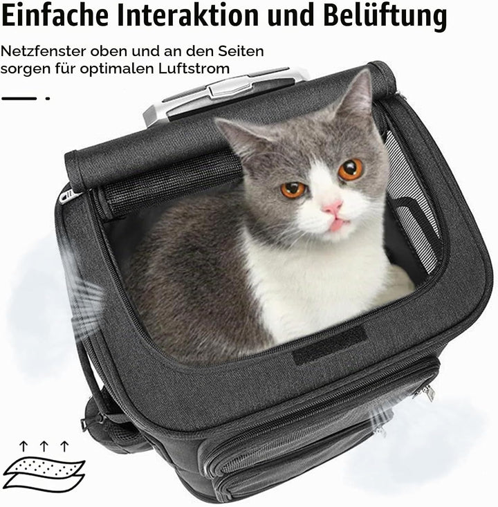 Katzenrucksack, Katzentrager Rucksack mit Zwei Fächern Haustier Hunde Katzen Rucksack Raumkapsel mit