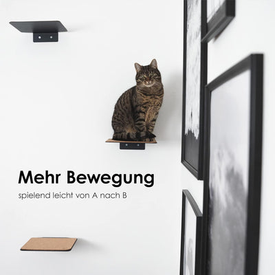 LucyBalu® Katzentreppe Wand Innen & Aussen 3er Set | Kletterwand für Katzen | Wandpark für Katzen bi