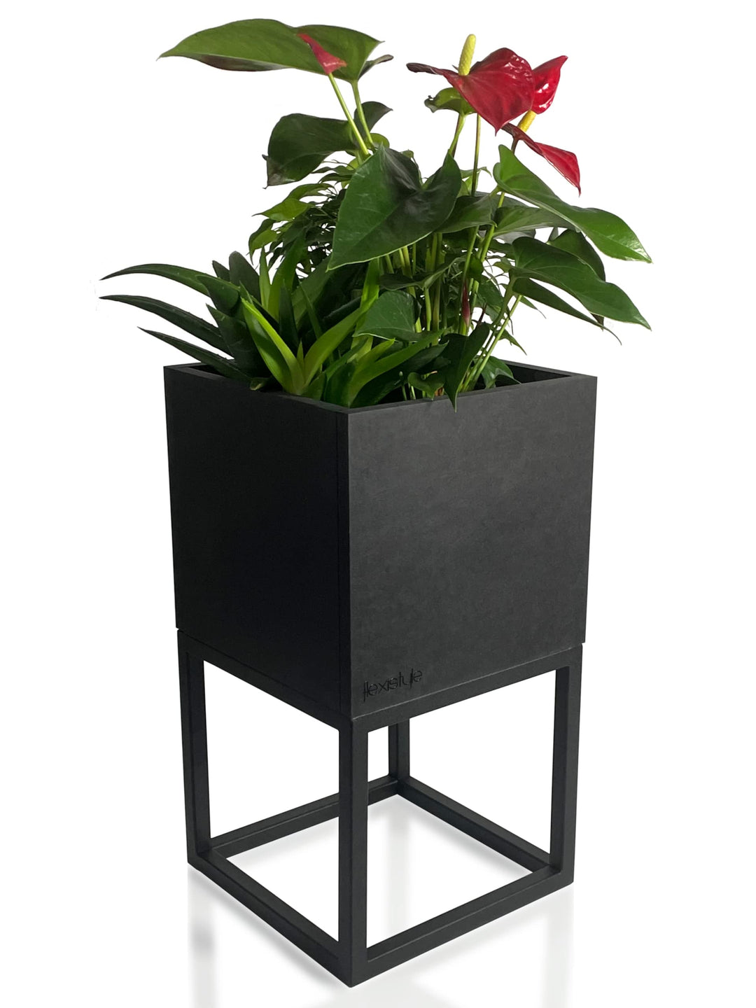 FLEXISTYLE Pflanzenständer LOFT FIORINO Metall MDF Holz Blumenständer Schwarz Blumentopf mit Beinen