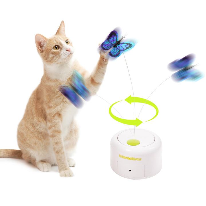 Pet Prime Automatisches Katzenspielzeug, Elektronisches Katzenspielzeug, Katze Schmetterling Spielze