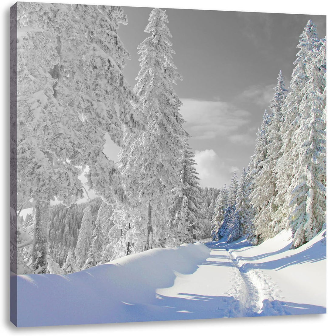 Pixxprint Winterlandschaft mit Bäumen als Leinwandbild Quadratisch/Grösse: 70x70 / Wandbild/Kunstdru