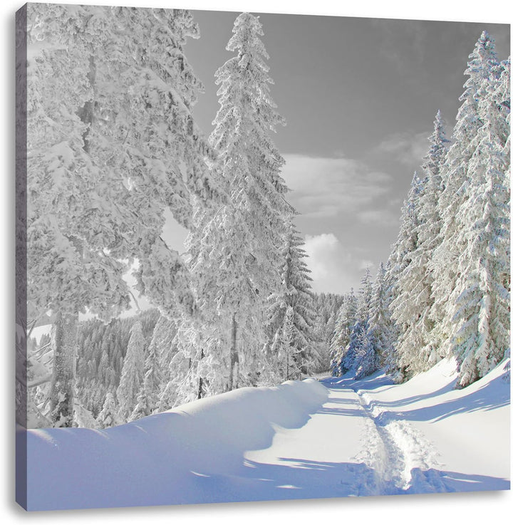 Pixxprint Winterlandschaft mit Bäumen als Leinwandbild Quadratisch/Grösse: 70x70 / Wandbild/Kunstdru