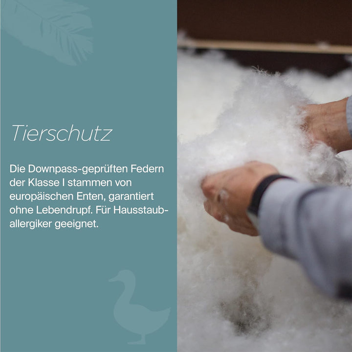 Daunenfee – hochwertiges Kopfkissen 80x80cm – gefüllt mit Natur-Federn – Handarbeit Made in Germany