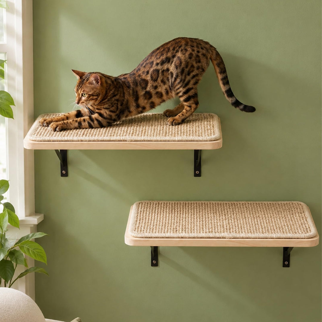 2PC Katzen Kletterwand, Katzenwandmöbel mit Kratzmatte, Wandmontiertes Massivholz Schlafplattform fü
