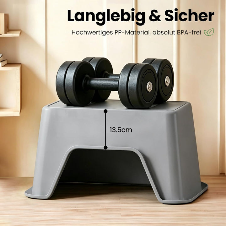Katzenklo Mit hohem Rand, Grau Katzentoilette Offen Standard (60L) – 54x40x27 cm, Matte & Schaufel,