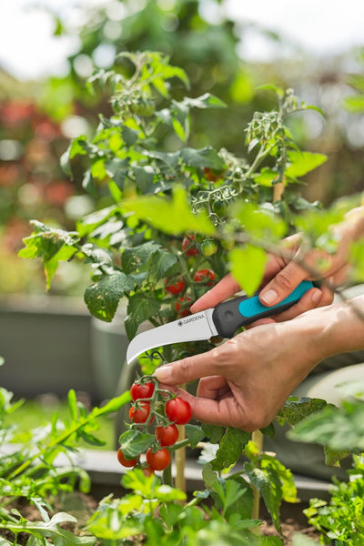 Gardena Erntemesser VeggieCut: Messer aus Edelstahl zum Ernten, Putzen und Schälen von Gemüse, Rutsc