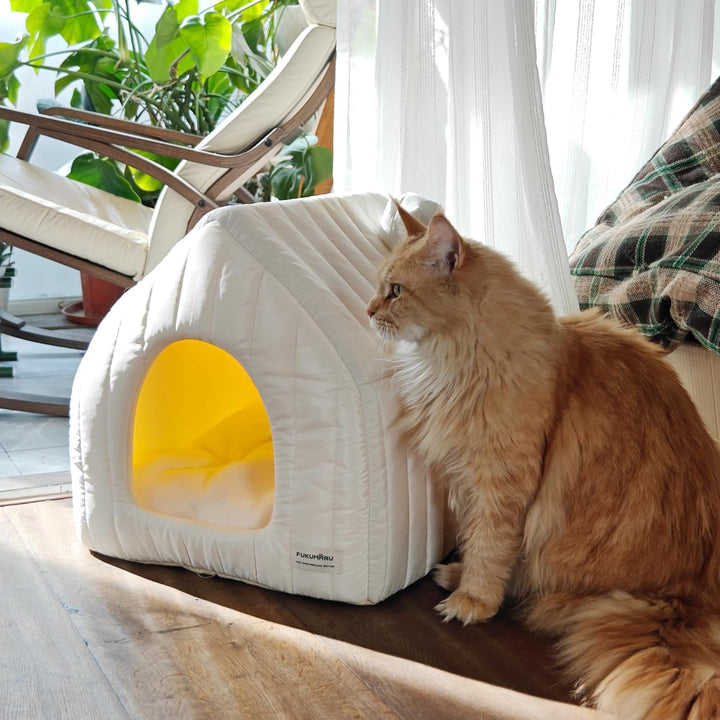 FUKUMARU Katzenbett grosse Katzen Katzenhöhle-43x43x45cm,Katzenhaus Indoor Mit abnehmbarem Katzenkis