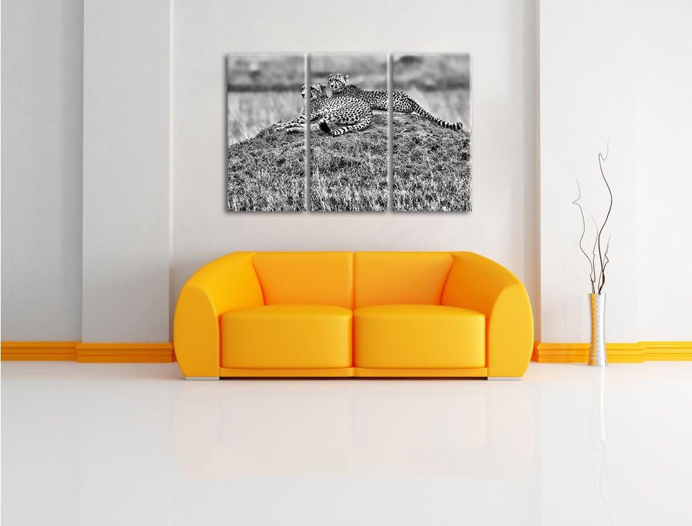 Pixxprint majestätische Geparden auf Stein als Leinwandbild/Grösse: 3 Teilig (120x80) cm/Wandbild/Ku