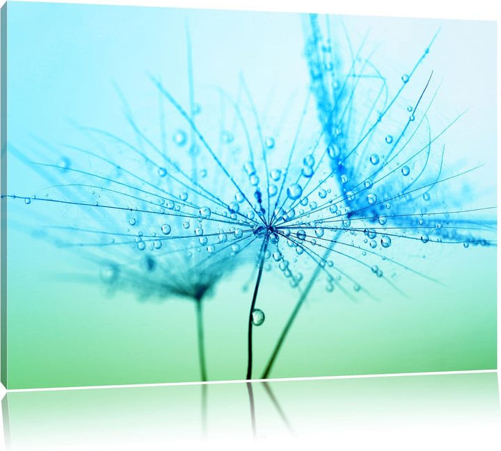 Pixxprint Pusteblume bedeckt mit Tropfen als Leinwandbild/Grösse: 100x70 cm/Wandbild/Kunstdruck/fert
