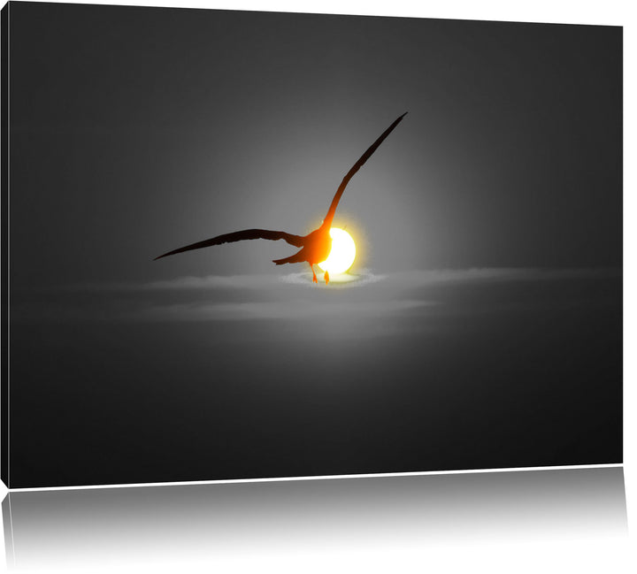 Pixxprint Möwe fliegt in den Sonnenuntergang als Leinwandbild | Grösse: 100x70 cm | Wandbild | Kunst