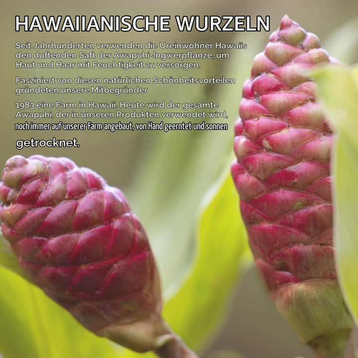 Paul Mitchell Awapuhi Wild Ginger Keratin Cream Rinse - Haar-Conditioner für trockenes, strapazierte