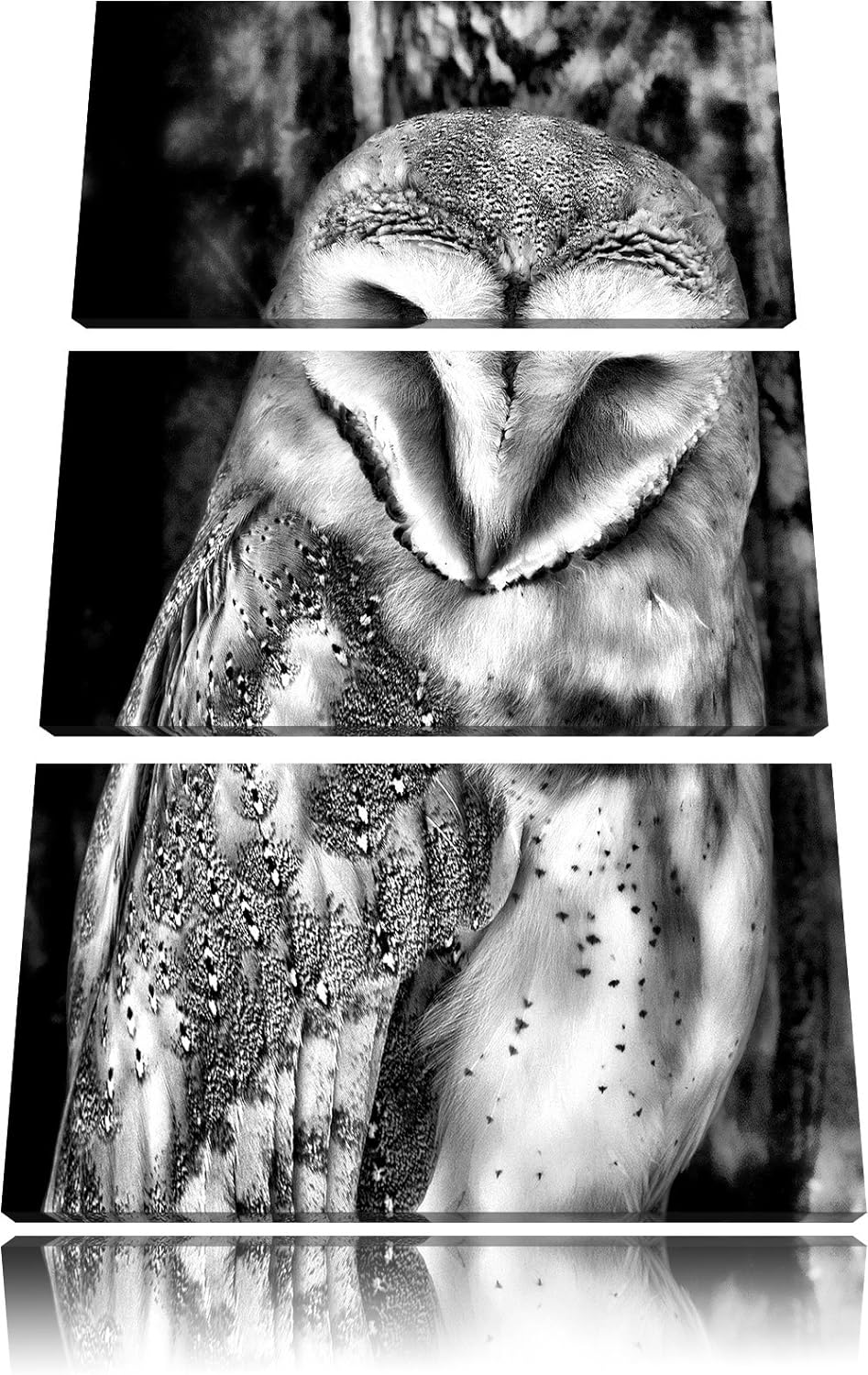 Pixxprint Monocrome, Schleiereule 3-Teiler Leinwandbild 120x80 Bild auf Leinwand