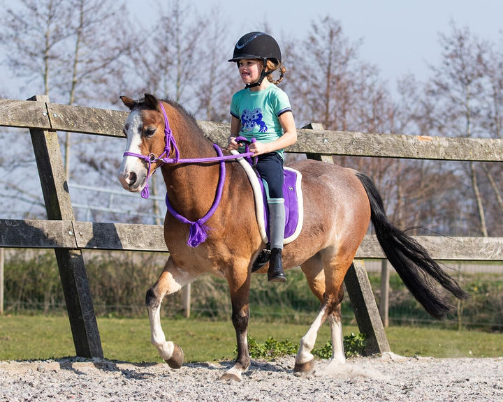 QHP Bareback Pad mit Kunstfell und Haltegriff (Shetty, Passion Flower) Shetty Passion flower, Shetty