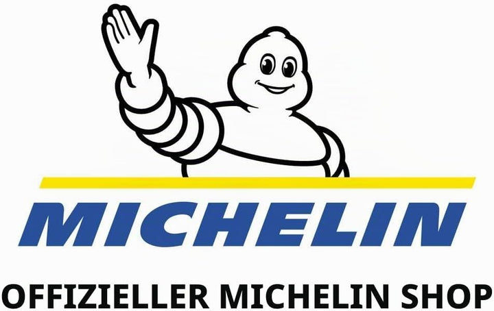 MICHELIN 146100-130/60/R13 53P - E/C/73dB - Ganzjahresreifen, 130/60-13 53P