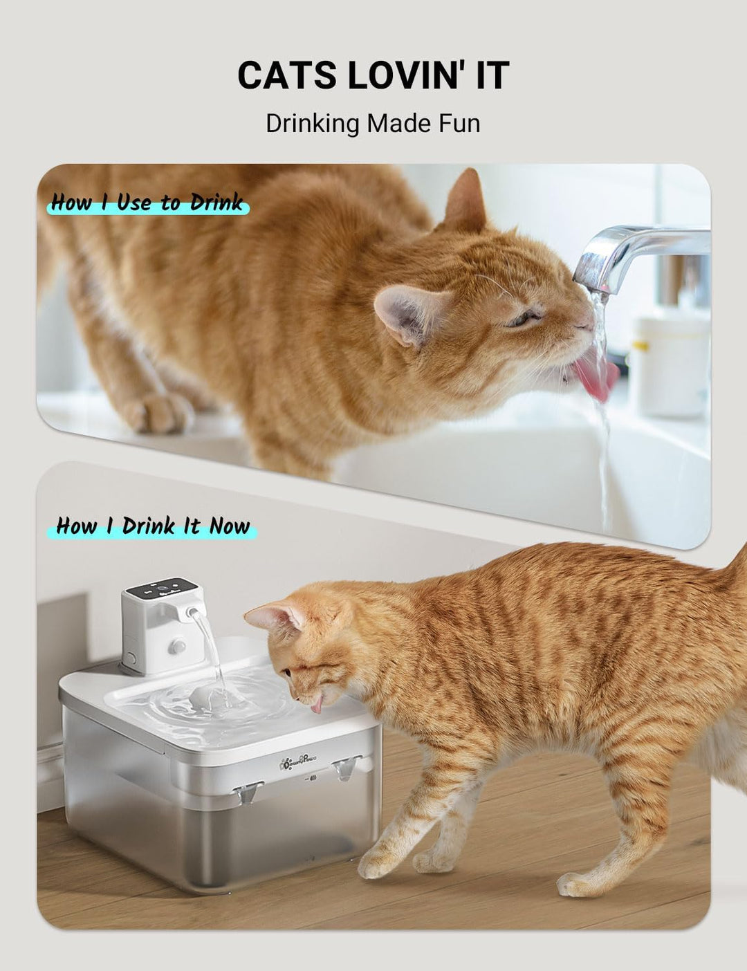 DownyPaws Trinkbrunnen für katze kabellos Filter 6 STK Für DPWFP6 Weiss, Weiss