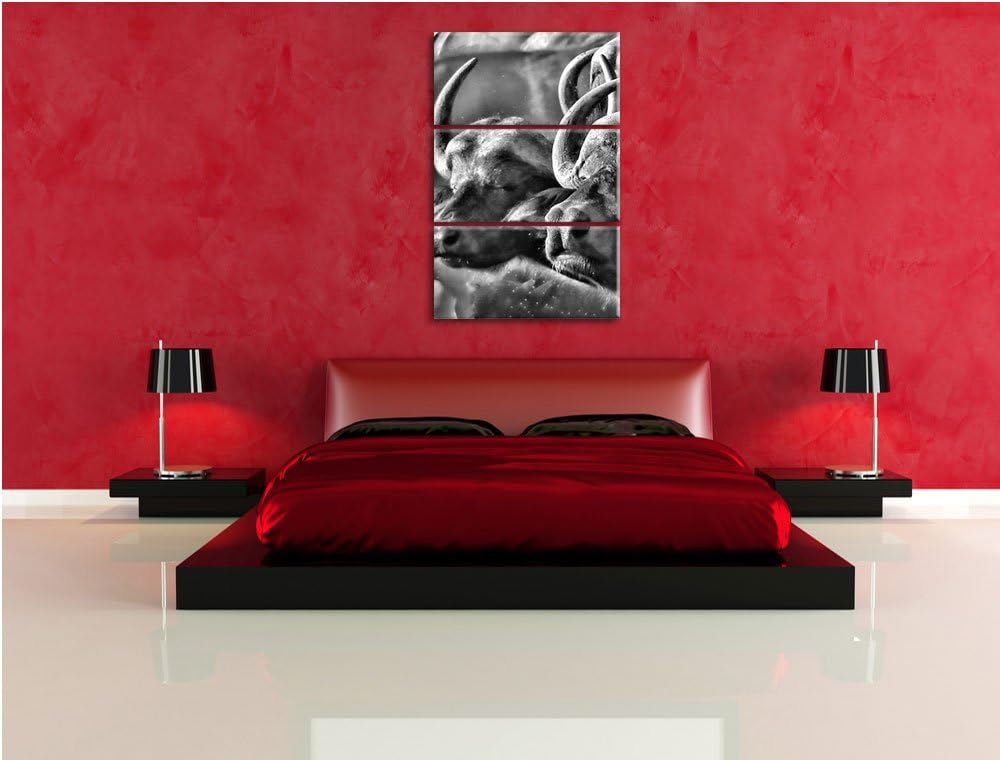 Pixxprint Monocrome, Zwei gemütliche Wasserbüffel 3-Teiler Leinwandbild 120x80 Bild auf Leinwand