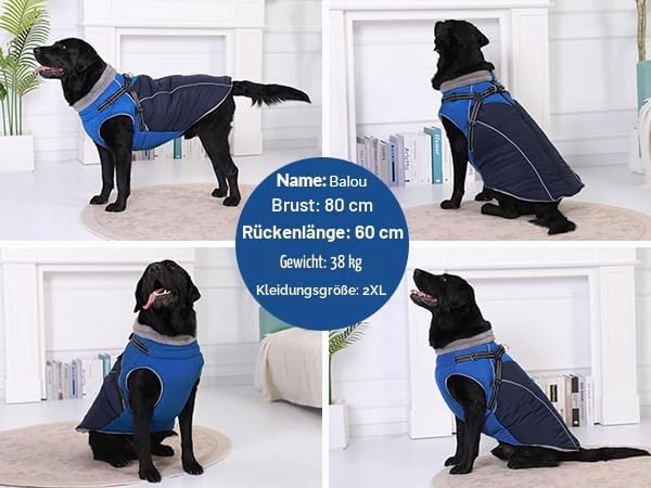Hundemantel mit Geschirr für grosse Hunde,Wasserdichter Wintermantel mit Integriertem Geschirr, refl