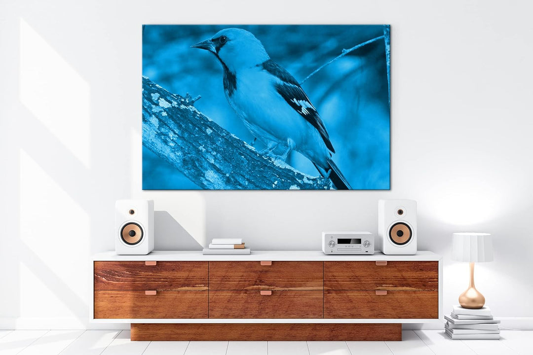 deyoli Anmutiger Vogel Format: 100x70 Effekt: Monocrome Blau als Leinwandbild, Motiv fertig gerahmt