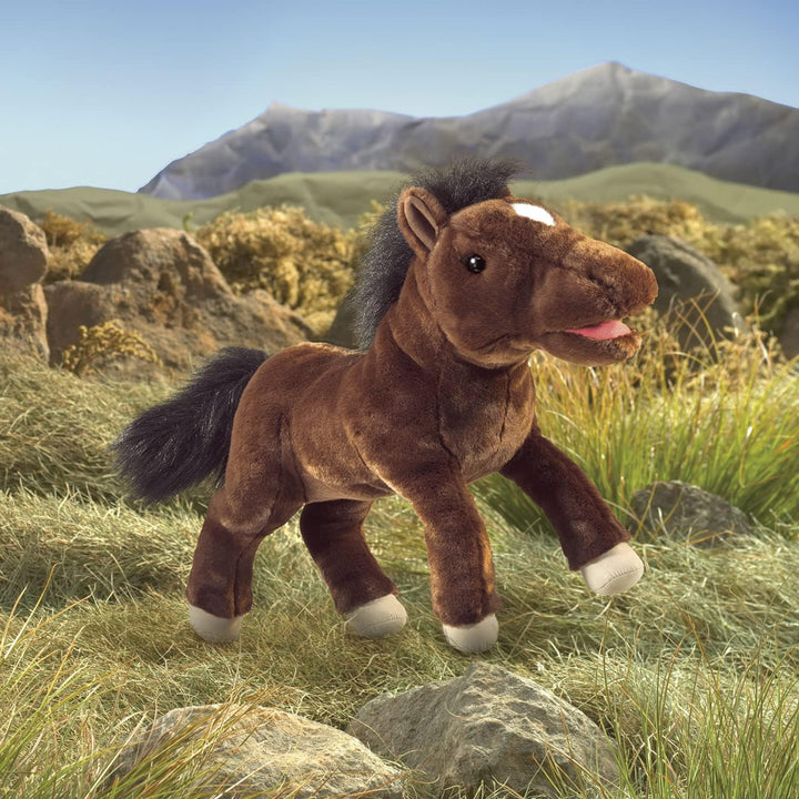 Horse/Pferd