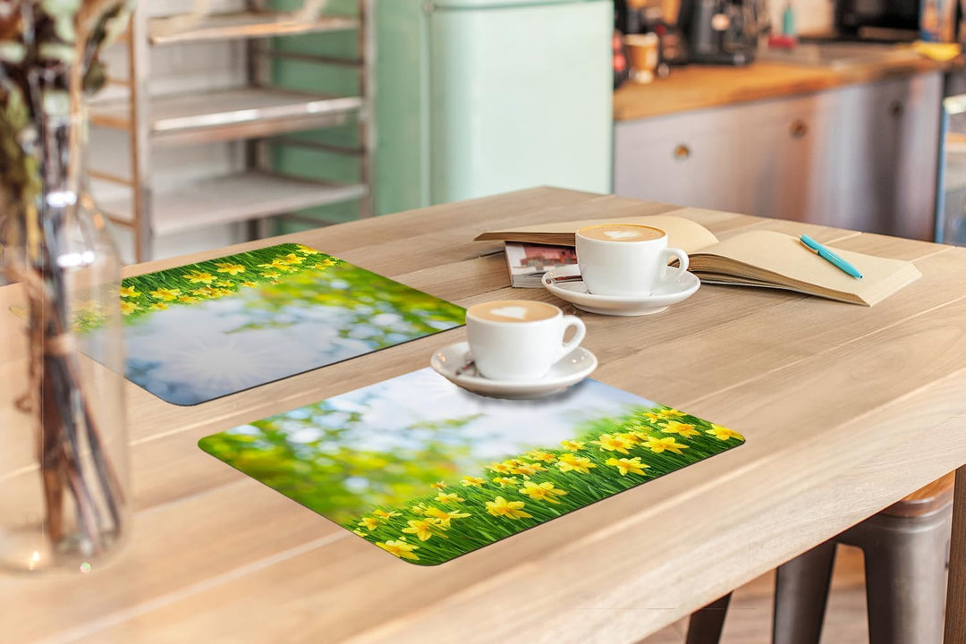 KitchenYeah© Platzsets Abwaschbar 6-Teilig 45x30 cm Tischsets Platzdeckchen Platzset Unterlage Tisch