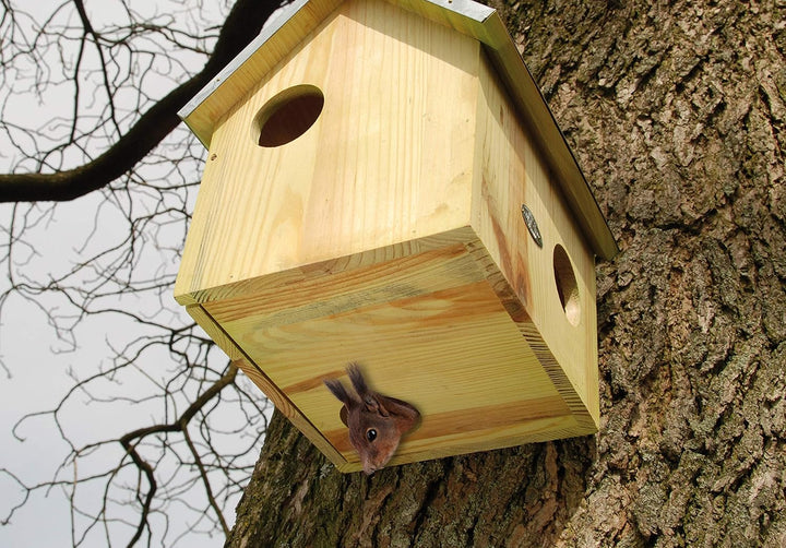 Esschert Design Futterhaus, Futterstation für Eichhörnchen mit Metalldach, DREI Eingänge, ca. 25,3 c