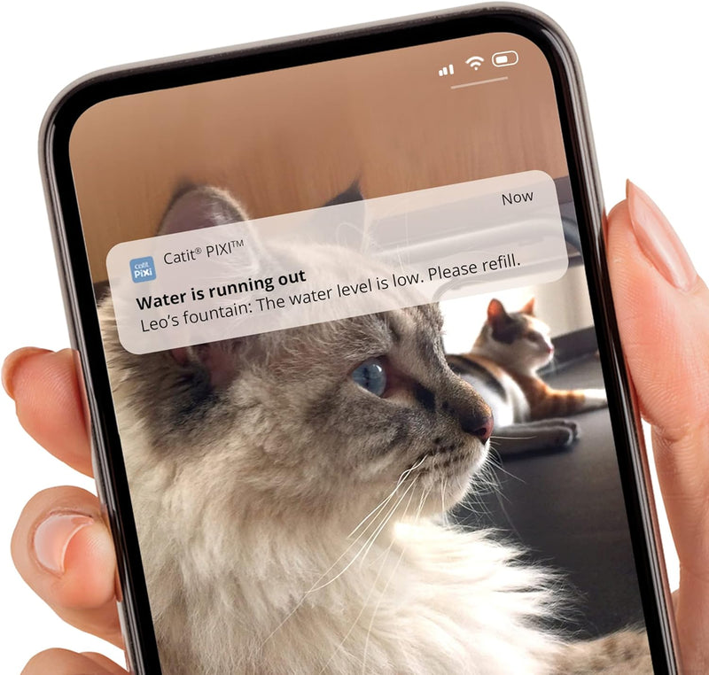 Catit Pixi Smart Trinkbrunnen für Katzen, Steuerung via App, 2L Wasserreservoir