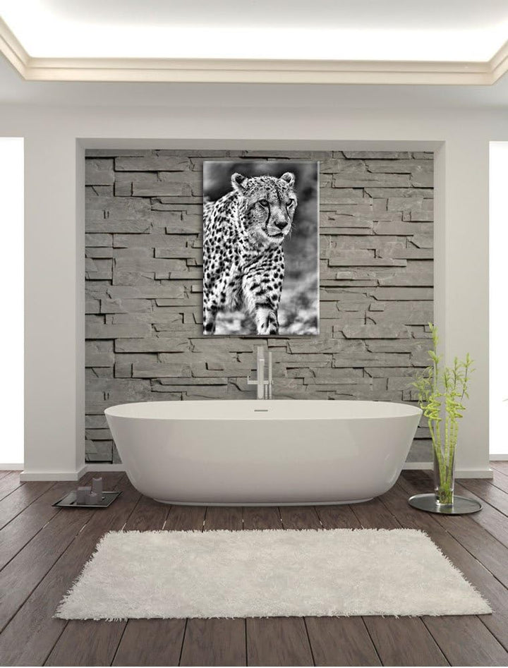 Pixxprint lauernder Gepard auf Wiese / 100x70cm Leinwandbild bespannt auf Holzrahmen/Wandbild Kunstd