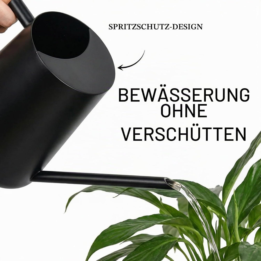 IMEEA 1L Giesskanne Zimmerpflanzen ，Schwarze Giesskanne Bewässerung Edelstahl In-Outdoor Giesskanne