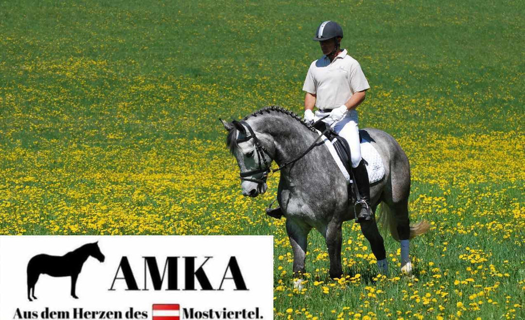 AMKA Knebeltrense Schenkeltrense massiv Edelstahl Stärke 18 mm Ringe 45 mm 13,5, 13,5