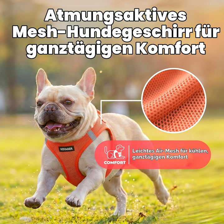 Voyager Step-In Air Hundegeschirr by Best Pet Supplies - All Weather Mesh Step in Vest Harness für k